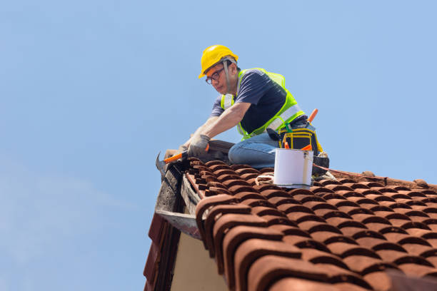 Best Roof Leak Repair  in Land O Lakes, FL